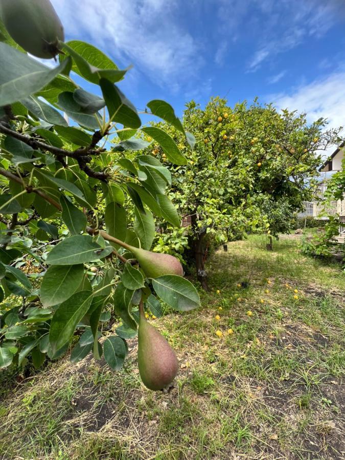 Casa Vacanze "Sautufao" Santa Venerina Kültér fotó