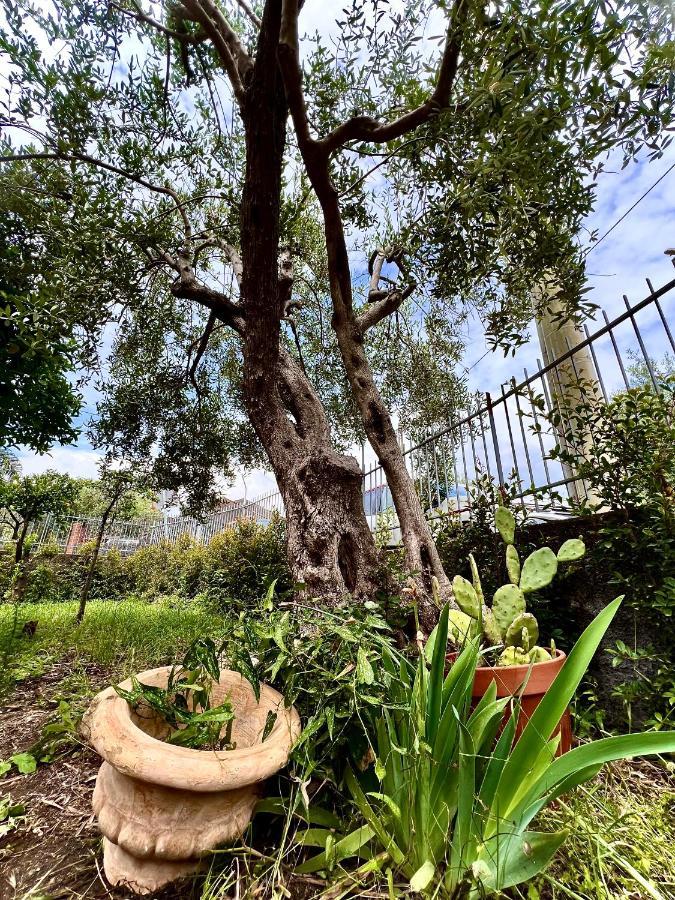 Casa Vacanze "Sautufao" Santa Venerina Kültér fotó