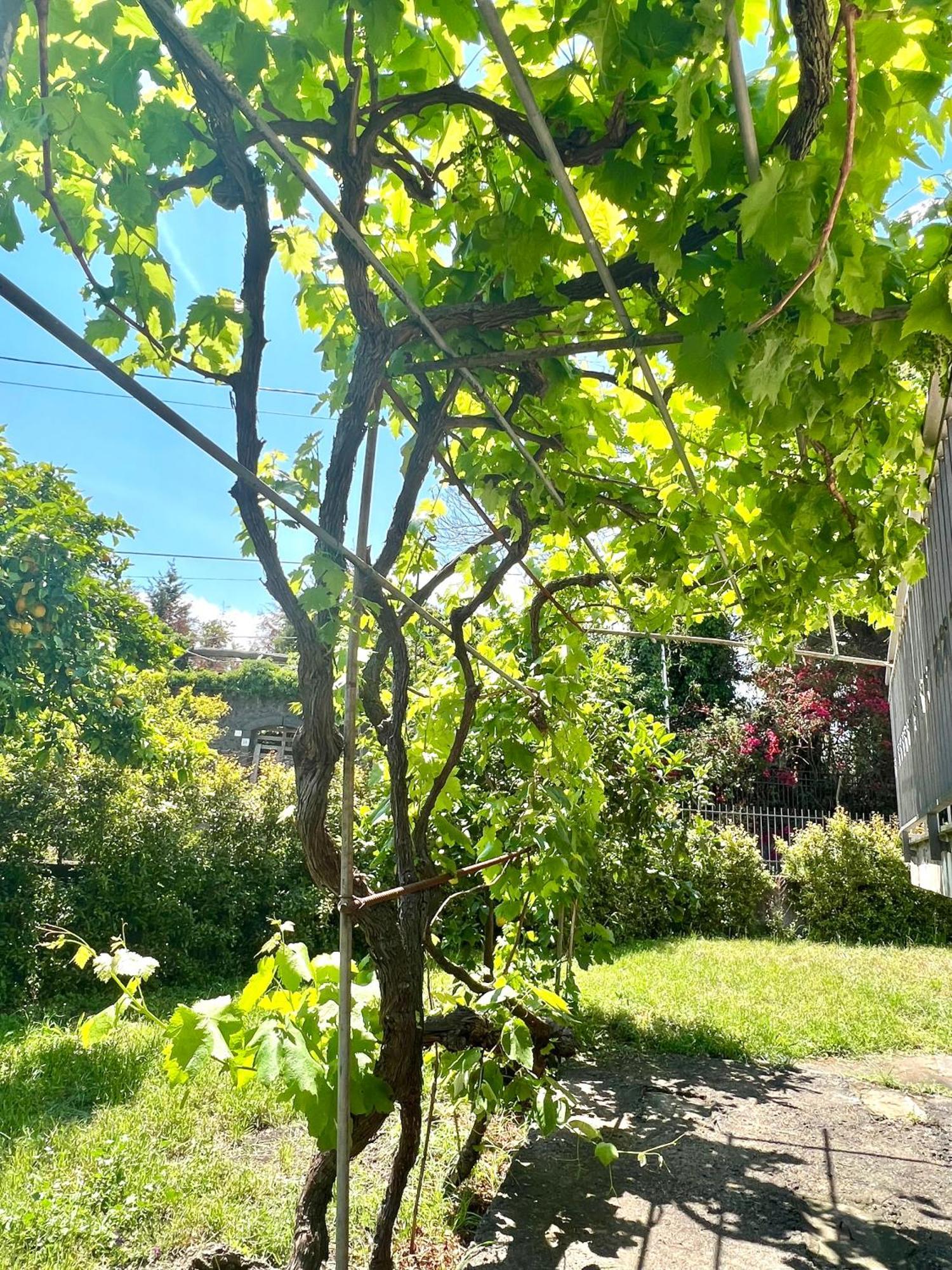 Casa Vacanze "Sautufao" Santa Venerina Kültér fotó