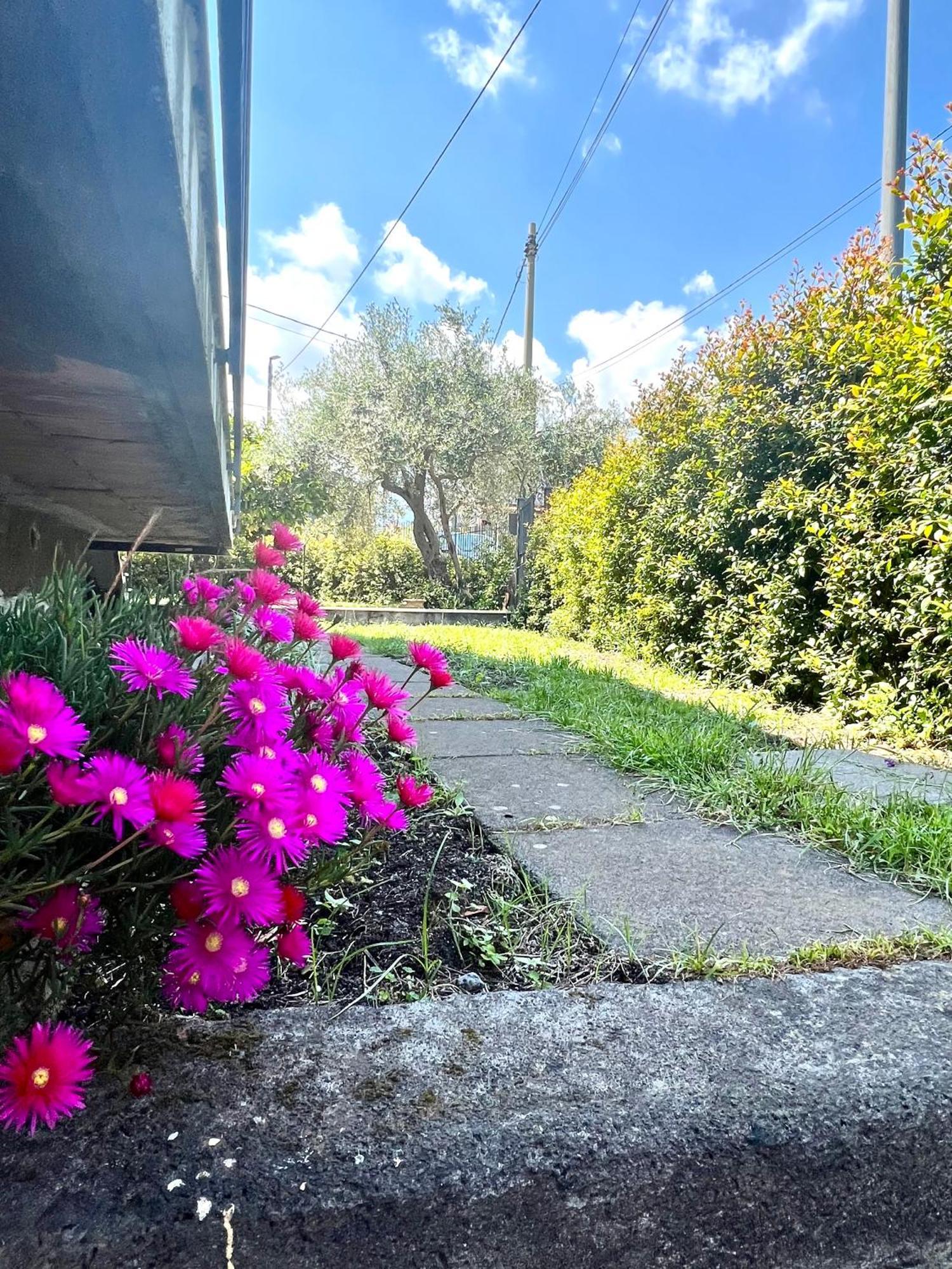 Casa Vacanze "Sautufao" Santa Venerina Kültér fotó